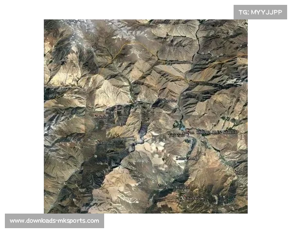 从非洲杯到德甲：埃布努塔利布的双线作战适应力