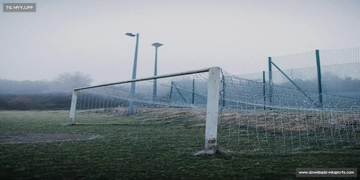 mk体育官网——肌肉记忆的韵律，谱写胜利交响曲。✨ 🌌